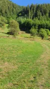 Building land For Sale - 517680 Scărisoara  RO Thumbnail 7