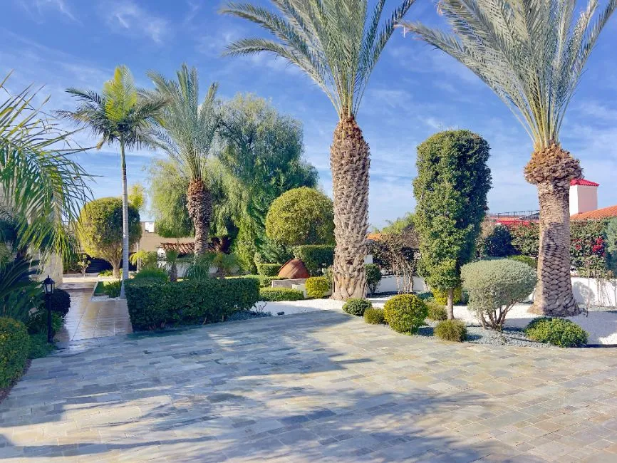 Villa For Sale - 8560 Peyia CY Image 2