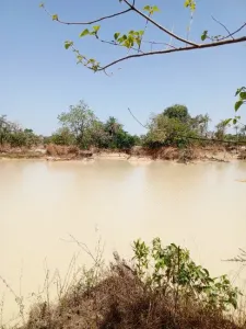 Building land For Sale 0000 Brikama Gambia  DE