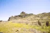 Mixed use For Sale - 35368 Espinillo ES Thumbnail 11