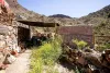 Mixed use For Sale - 35368 Espinillo ES Thumbnail 4