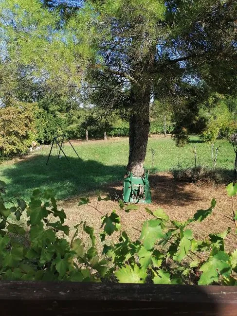 House For Sale - 11300 LA DIGNE D'AMONT FR Image 3