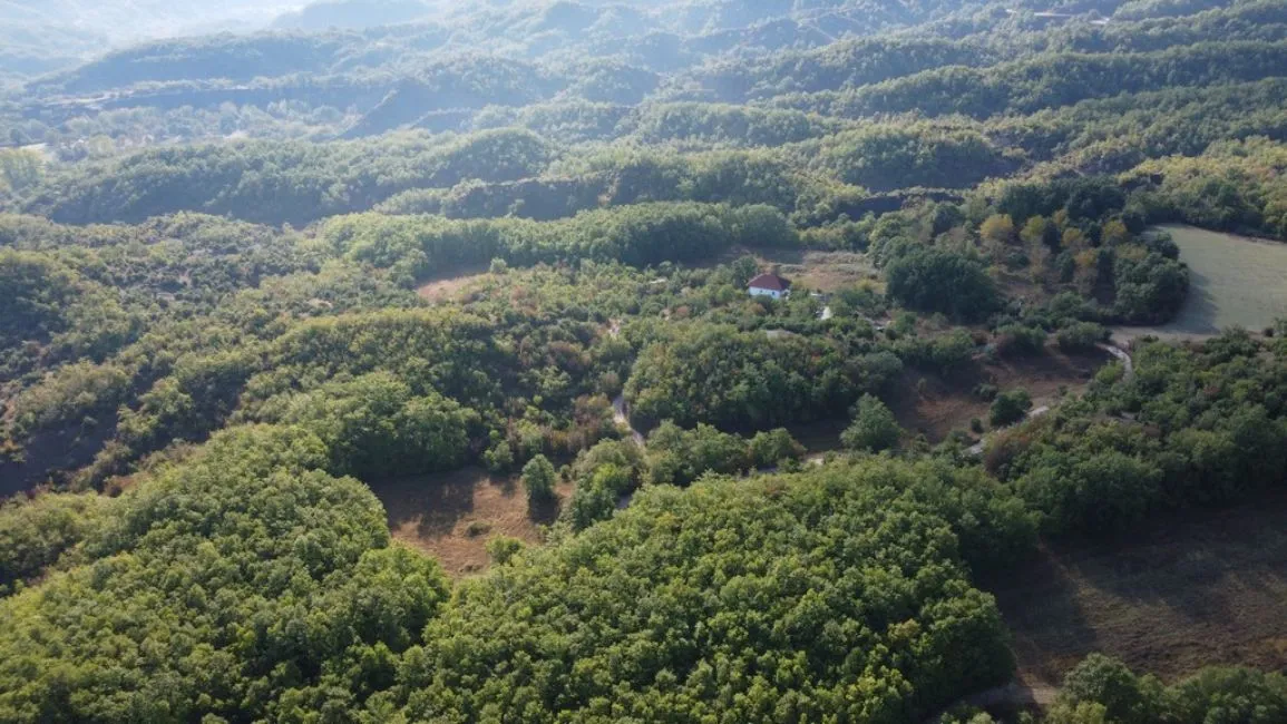 Villa For Sale - 45500 ZAGORI IOANNINA GR Image 5