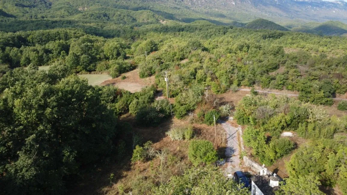 Villa For Sale - 45500 ZAGORI IOANNINA GR Image 6
