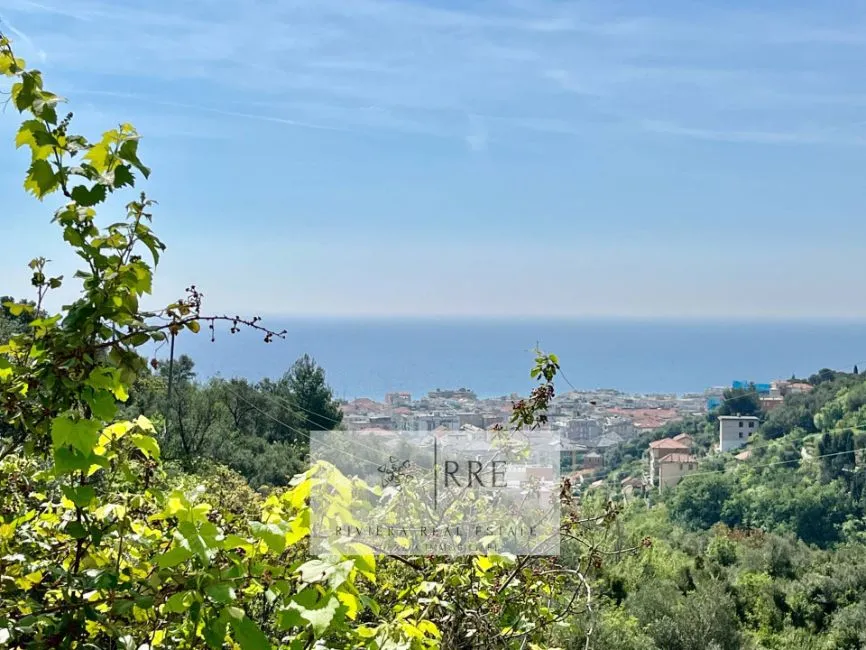 Apartment For Sale - 17021 ALASSIO IT Image 13