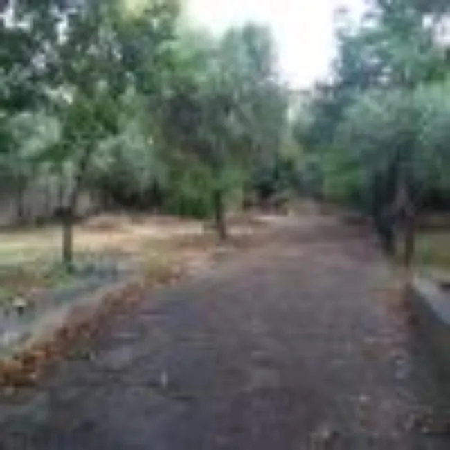 House For Sale - 09090 Gonnoscodina (Or) IT Image 13