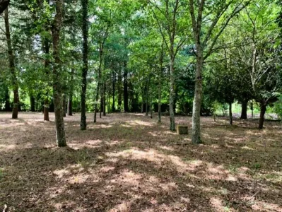 Building land For Sale 3300 Arganil PT