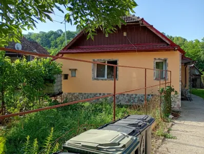 Farm For Sale 407124 Vaida-Camaras RO