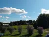 Farm For Sale - 91991 Åsele SE Thumbnail 7