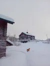 Farm For Sale - 91991 Åsele SE Thumbnail 9